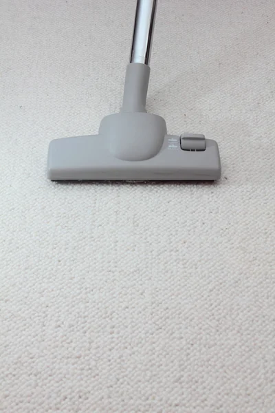 Upholstery Cleaning